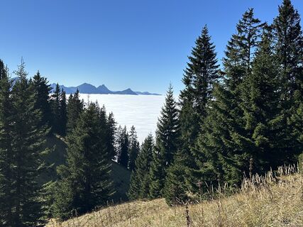 Photo from Stefan Wallner 5 along the tour