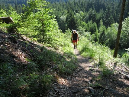 Wurzenpass - Göriacher Alm
