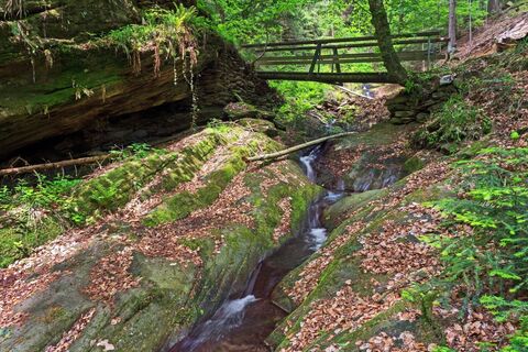 Natur pur, in der Hinterbrühlklamm im ApfelLand Stubenbergsee, Oststeiermark