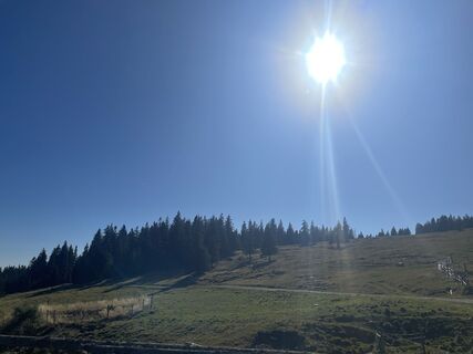 Foto von firebird 93 entlang der Tour