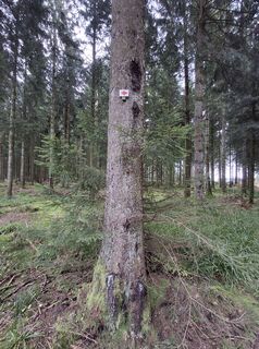 Foto von Christian Krebs entlang der Tour