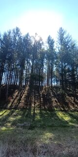 Foto von Sandra K. 2 entlang der Tour