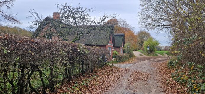 Photo de Bernd Schmitt le long du parcours