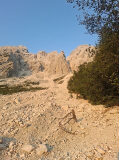 Photo de Gregor Usen le long du parcours