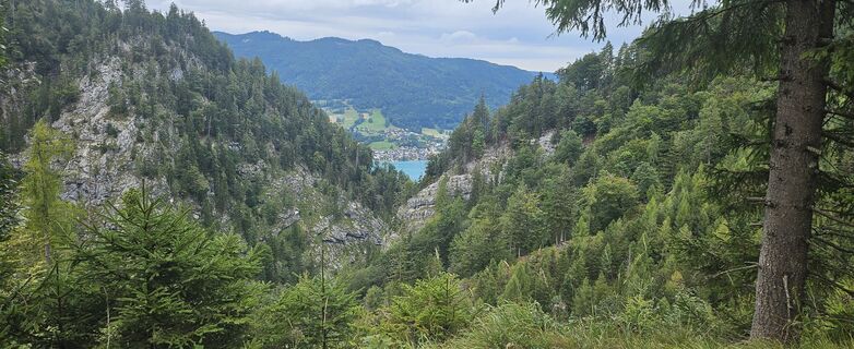 Fotografija s spletne strani Hanned na poti