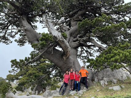 Photo from Mario camanni along the tour