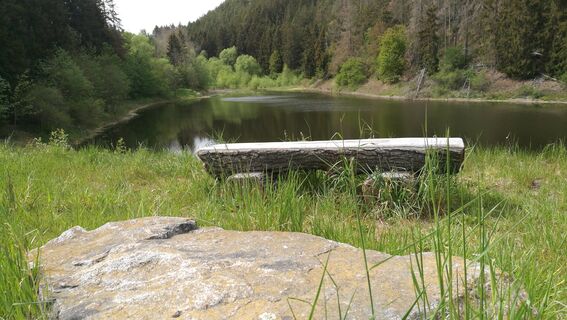 Von der Remptendorfer Bucht nach Isabellengrün