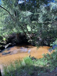 Fotografia z Moonytiger na trase