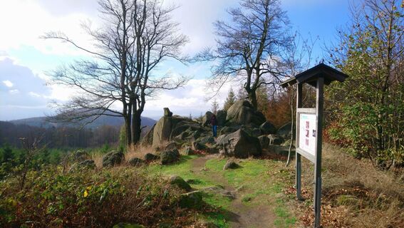 Foto von Betzenbergfex entlang der Tour