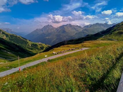 Fotografia z Fabio Salvini na trase