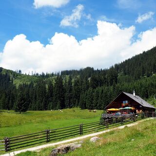 Iglmoosalm 1.206m mit Rosenkogel