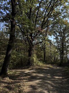 Foto de Iulia Rubtsova a lo largo del recorrido