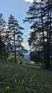 Foto von Revilo Krammer entlang der Tour