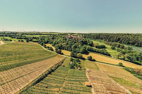 Blick auf Burg Liebenstein | Neckarwestheim | HeilbronnerLand