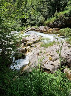 Photo de Viktor The Great le long du parcours