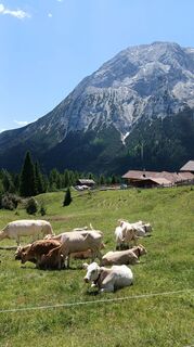 Foto von Thoralf Fritzsche entlang der Tour
