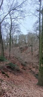 Foto von Pascal Meijers entlang der Tour