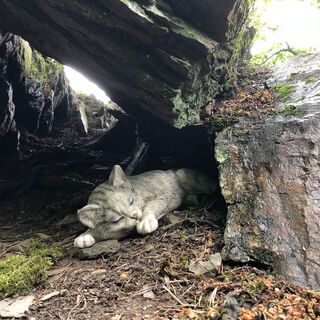 Am Katzenstein