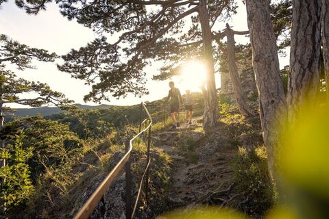 Wandern im Wienerwald