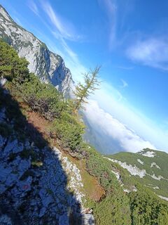 Foto von Edith K. entlang der Tour