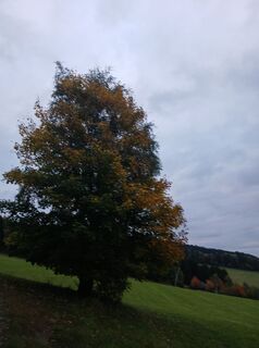 Photo de Peter Flasch le long du parcours
