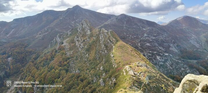 Fotografia z Sherpa 960 na trase