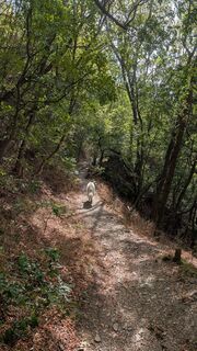 Foto de Ute Heilenz a lo largo del recorrido