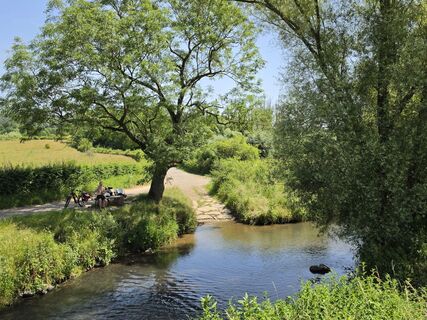 Photo de Patrick Dubois le long du parcours