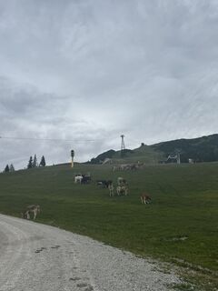 Fotografia z Belinay Bugurcu na trase