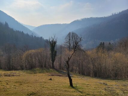 Foto von Juliane Jarke entlang der Tour