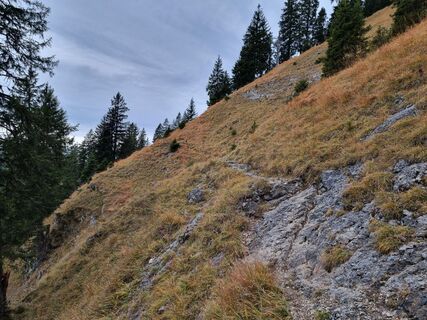 Foto von Felix entlang der Tour