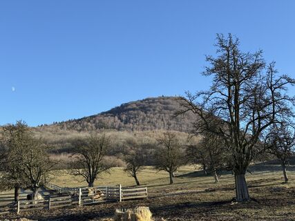Foto von Steffen Kiesel entlang der Tour