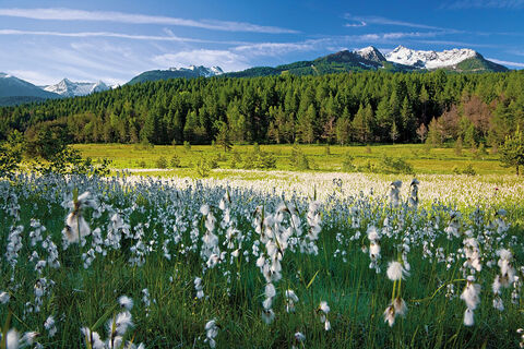 Naturschutzgebiet Pian di Gembro