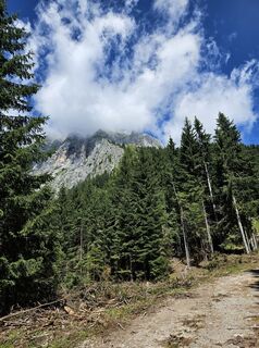 Fotografija s spletne strani Florian Dürnegger na poti
