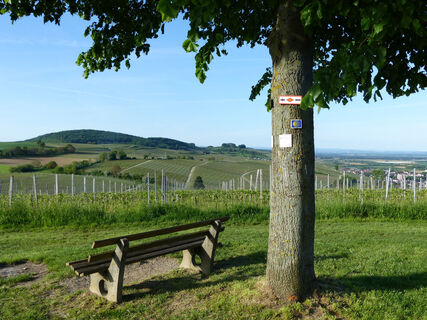 Wegweiser Himmelreich-Jakobusweg