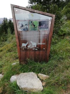 Info-Tafel auf dem Themen-Weg