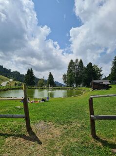 Foto da Cristian Mario Rota lungo il tour
