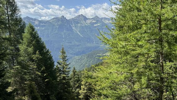 Foto von peter_oe entlang der Tour