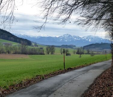 Am Weg zum Hof Grub mit dem Blick über das Oichtental auf die Berchtesgadener Alpen.