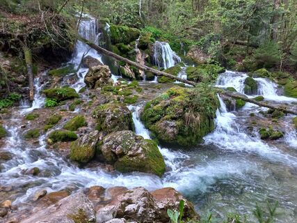 Bärenschützklamm