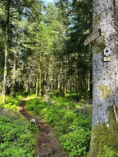 Bettelmännleweg