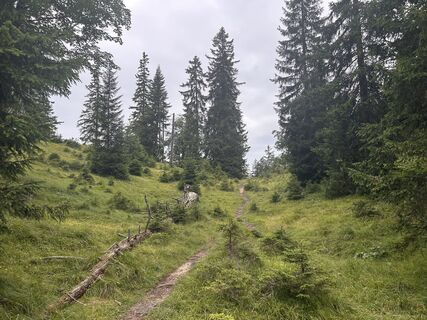 Fotografija s spletne strani Thomas Wally na poti