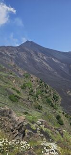 Fotografia z Tina Thommesen na trase