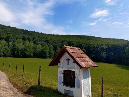 Fotografia z Roman na trase