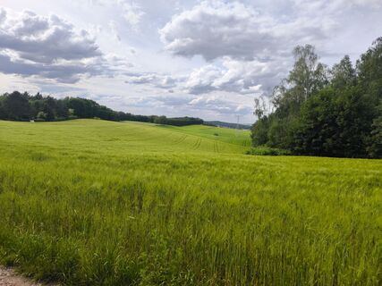 Photo de J S (evechen) le long du parcours