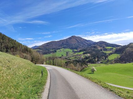 Fotografia z ReginaSt na trase