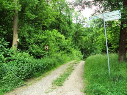 Salzgitter-Gebhardshagen, Startpunkt Wanderweg 17 Waldeingang