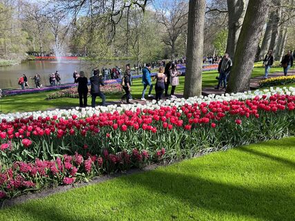 Fotografie de la Silvia Hollenstein de-a lungul turului