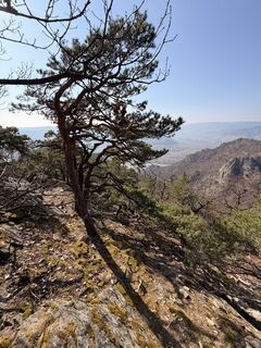Fotografija s spletne strani Gerhard Piglmann na poti
