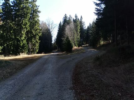 Foto von hilli66 entlang der Tour